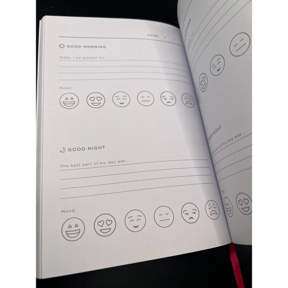 West Emory 365 Days of Happy Pink Planner Mood Notebook - Picture 3 of 3